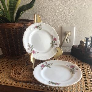 Moss Rose China Saucer Plate Set of Two